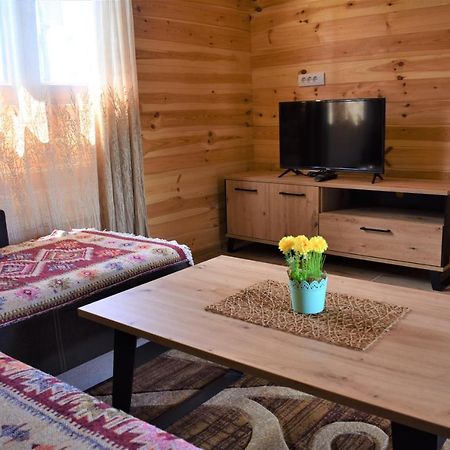 Durmitor View Villa Žabljak Kültér fotó